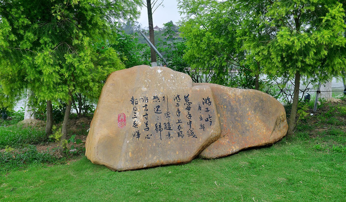 DSC_3253.JPG